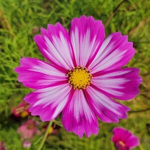 Meet your Posher, Teresa